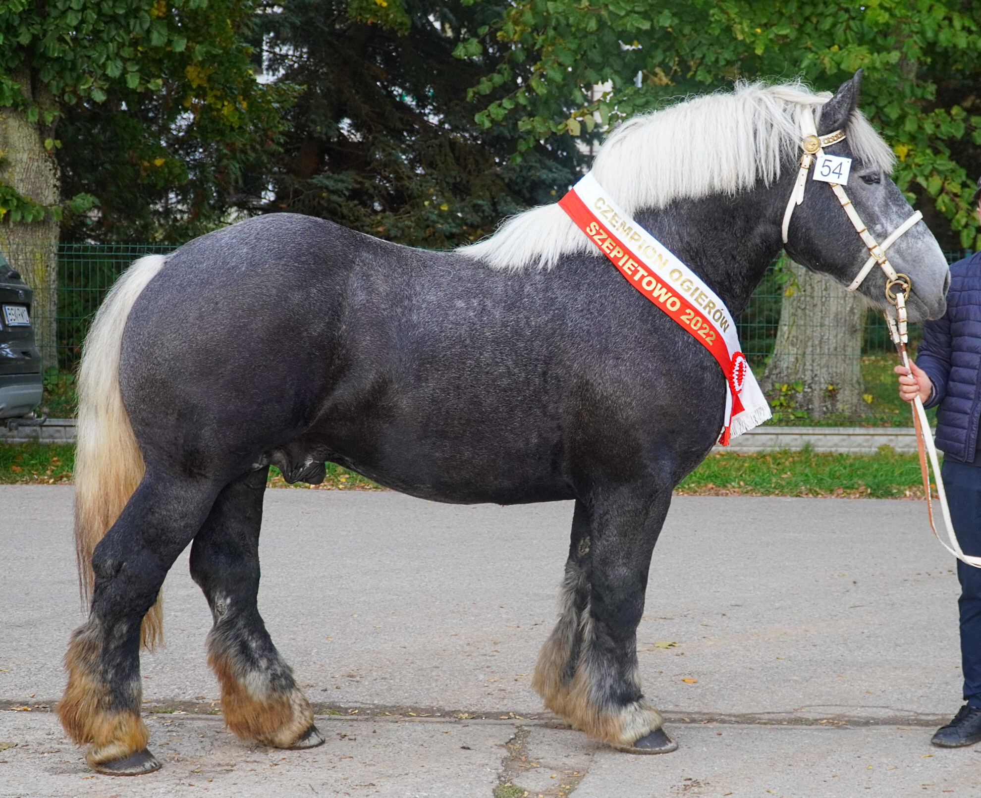 Obrazek główny