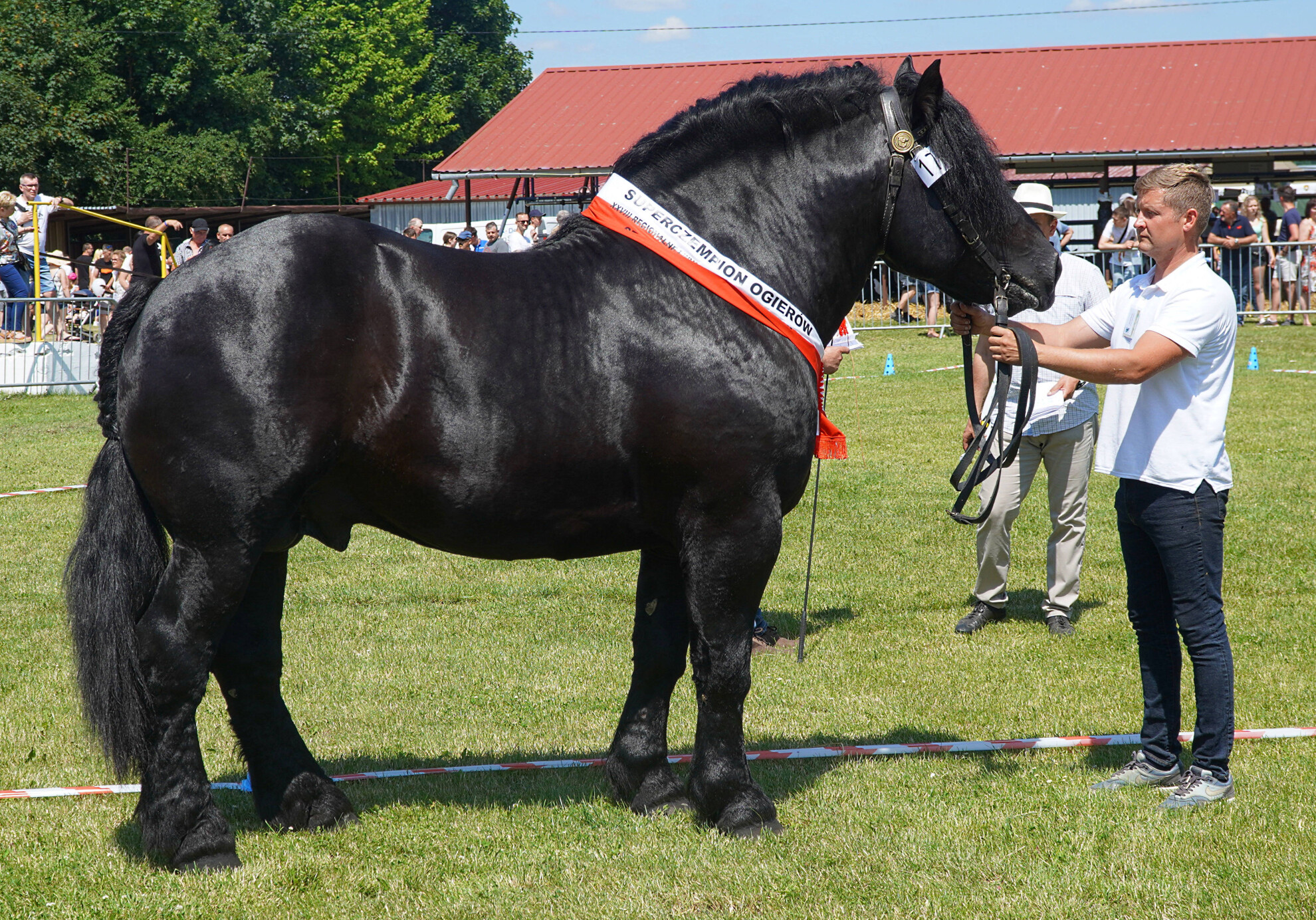 Obrazek główny