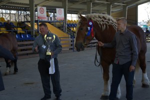 DSC_0396-581cc157563ac
