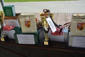 DSC_0434 _Copy_