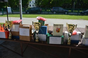 DSC_0496 _Copy_