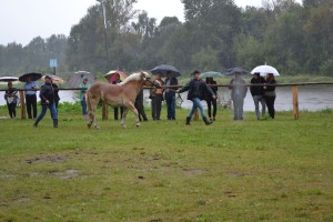DSC_1070