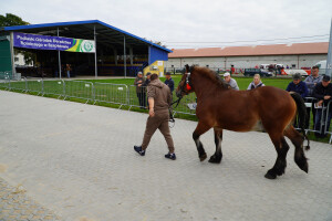 DSC09363