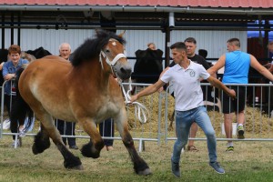IMG_0036