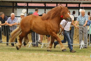 IMG_0309
