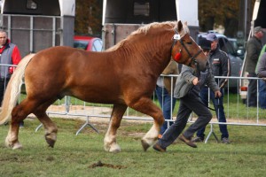 IMG_1913