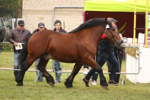 IMG_1983