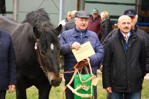 IMG_3580