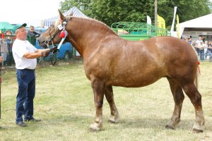 3566 G Ol WAZA (Sokół - Wangola po Selen)