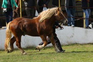 IMG_7256