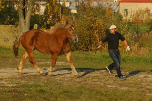 IMG_7968
