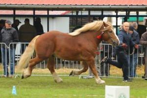IMG_9811