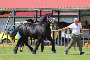 IMG_9890